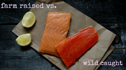 “Hooked on Quality: Why Wild-Caught is a Must at Eat Clean Phx”